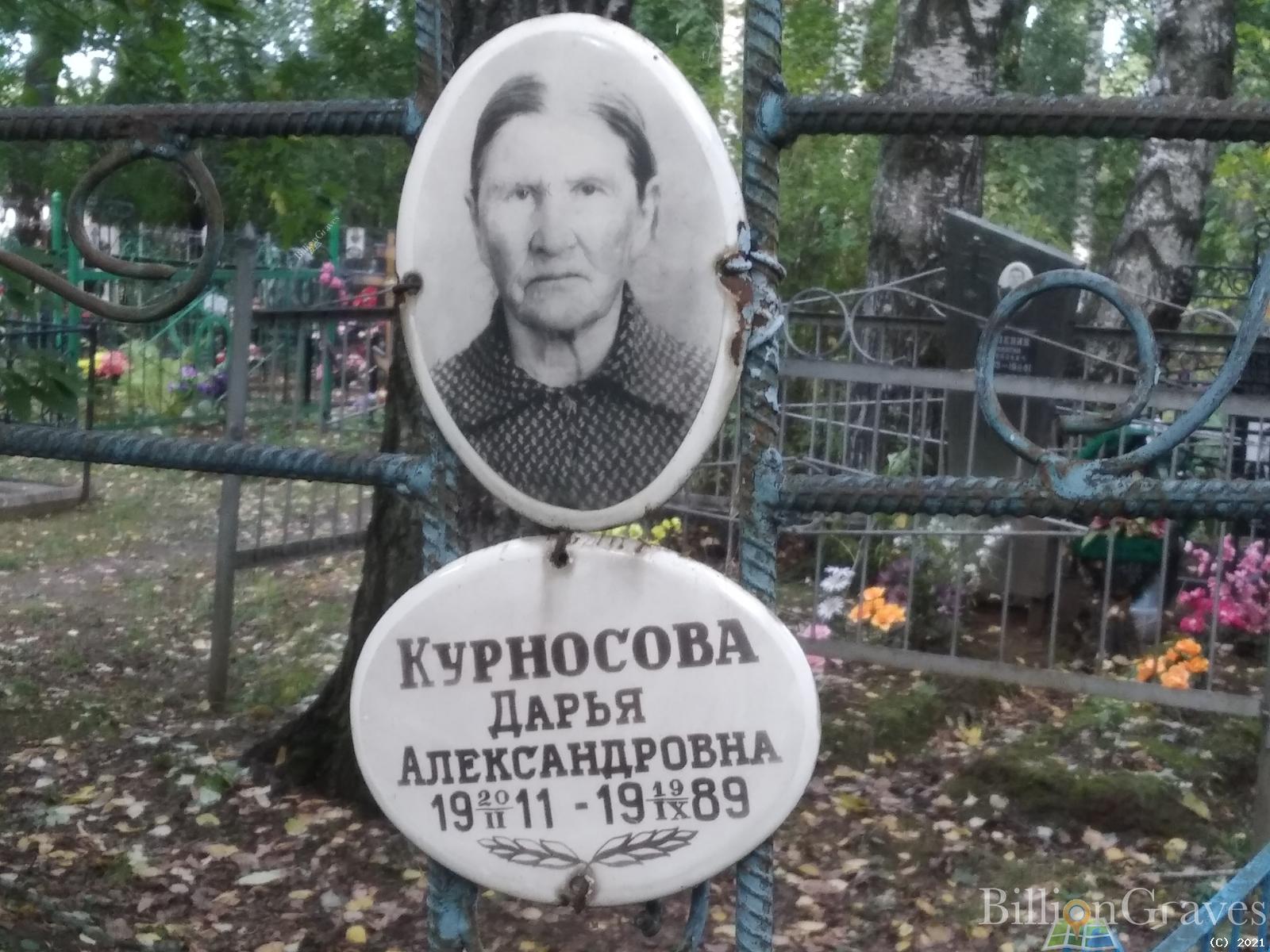 Курносова Дарья Александровна