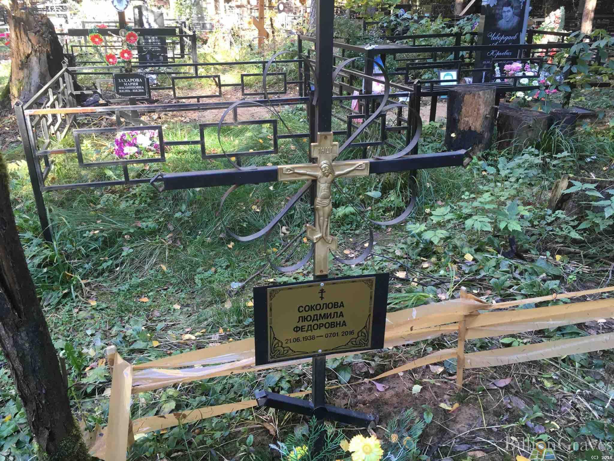 Соколова Людмила Фёдоровна