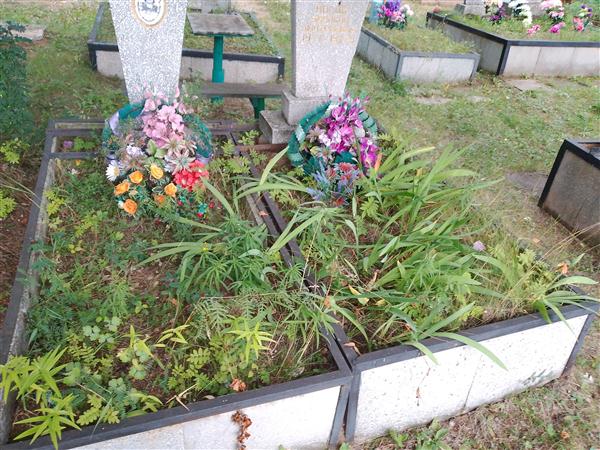 Носова Елизавета Ивановна