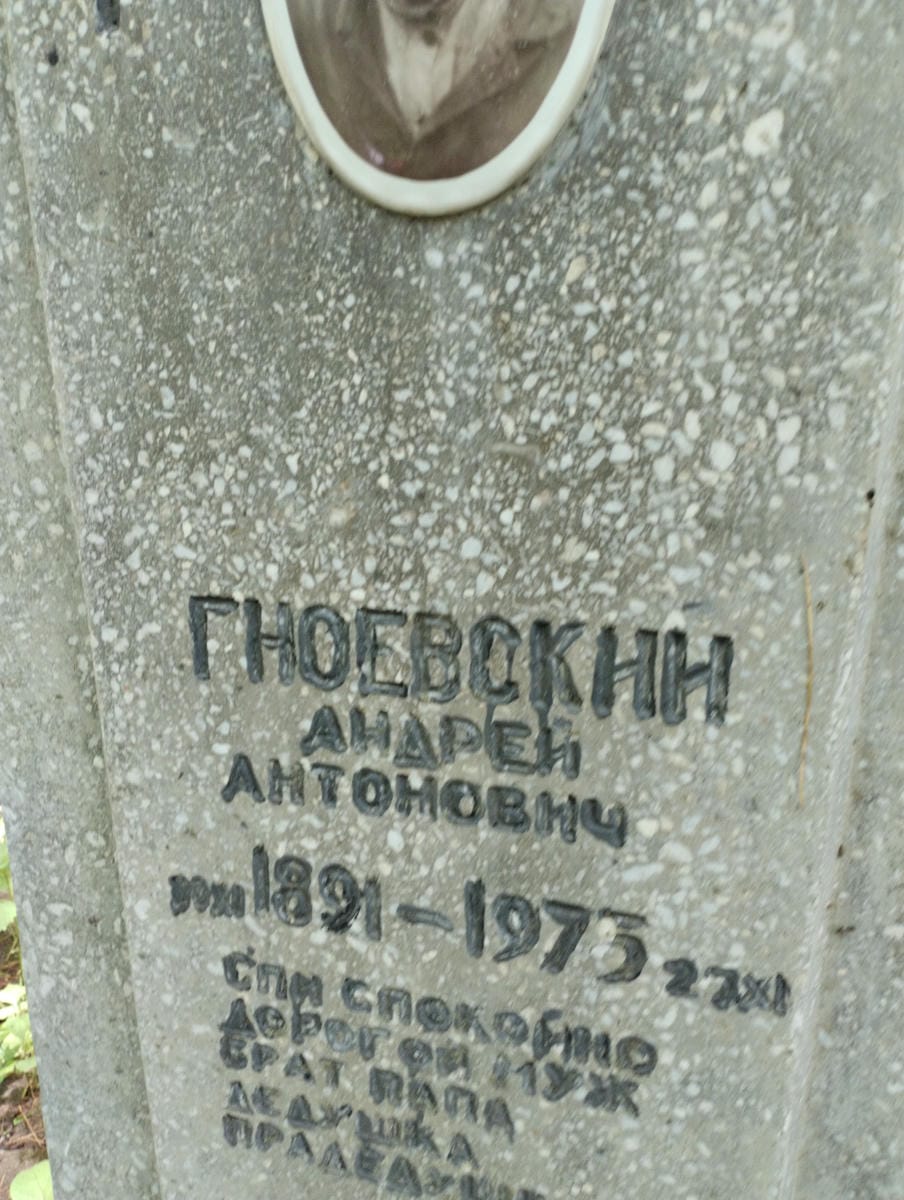 Гноевский Андрей Антонович