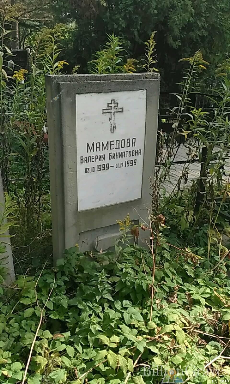 Мамедова Валерия Биниатовна