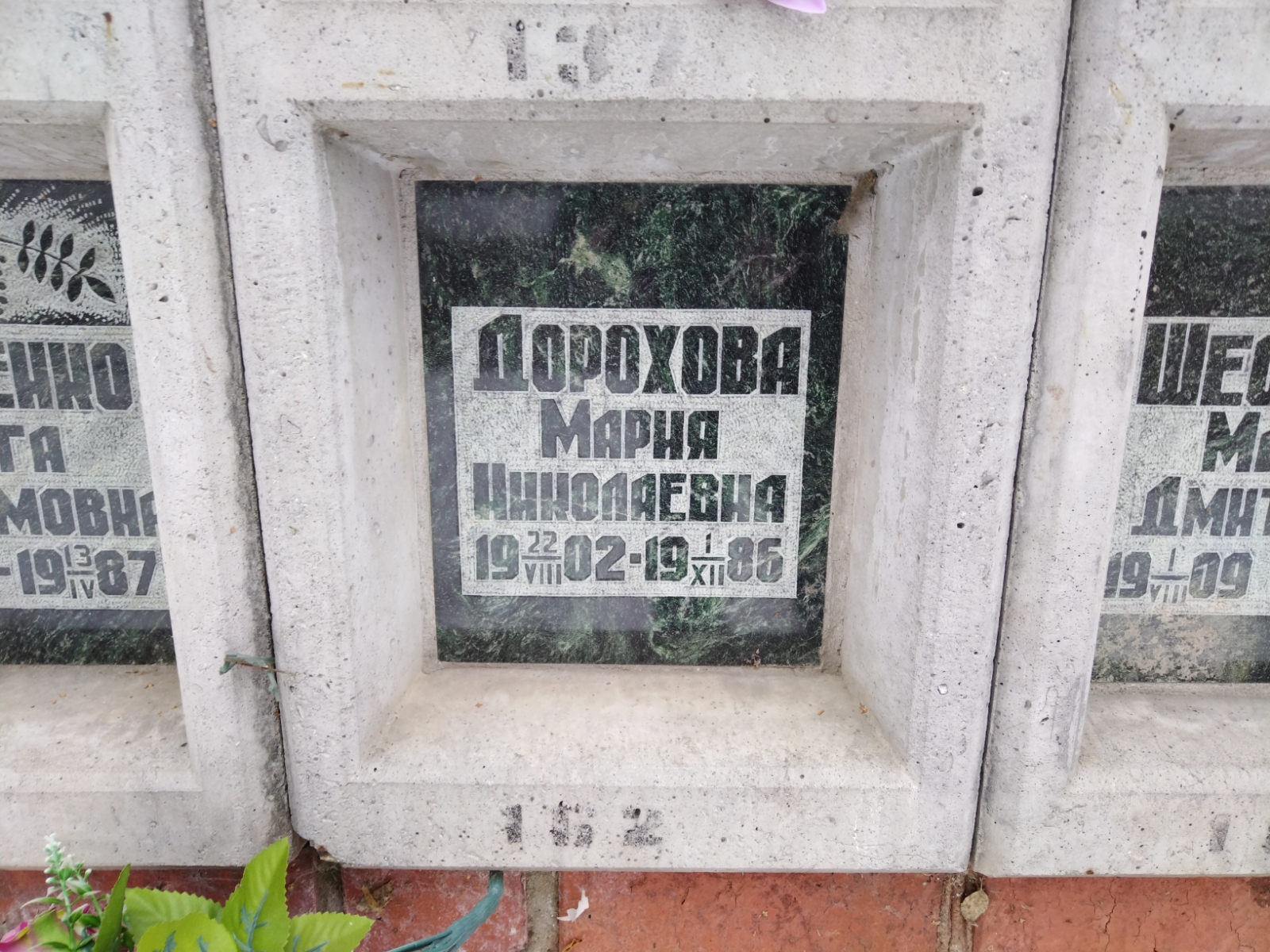 Дорохова Мария Николаевна