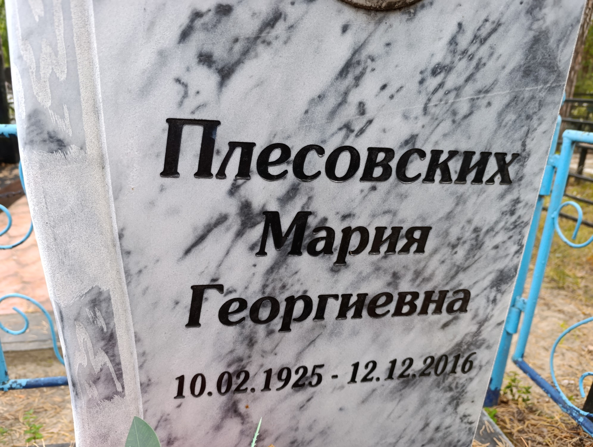 Плесовских Мария Георгиевна