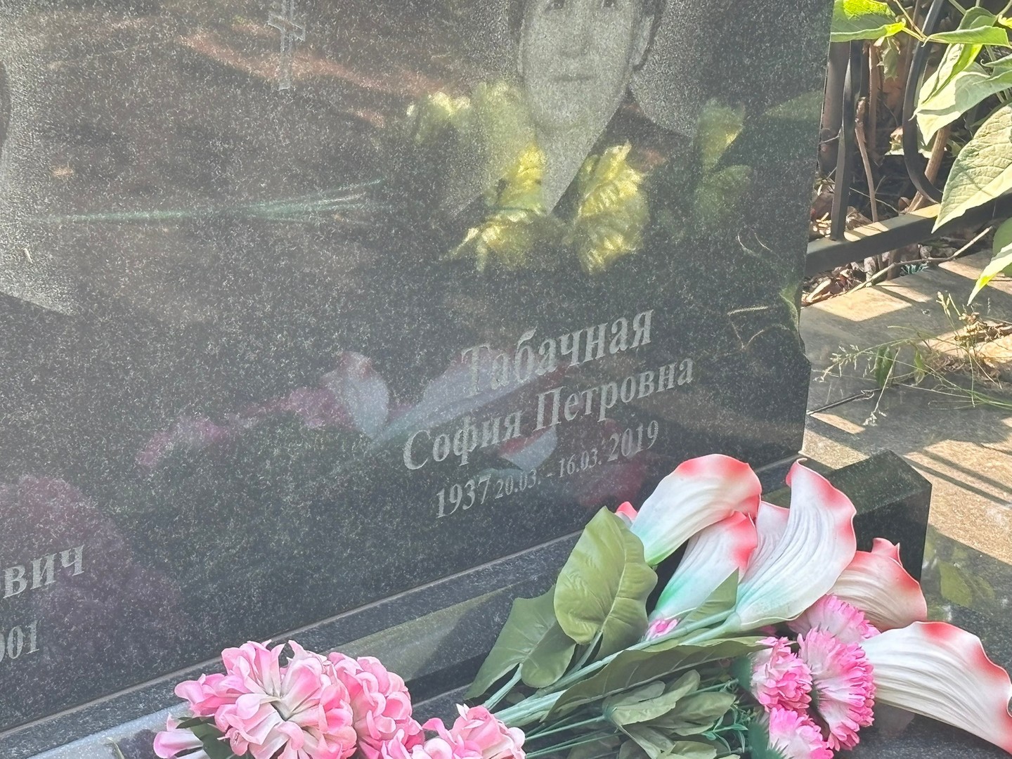 София Табачная Петровна