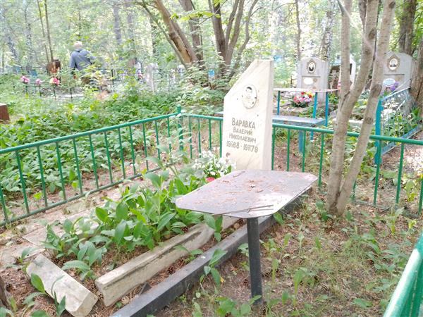Варавка Валерий Николаевич
