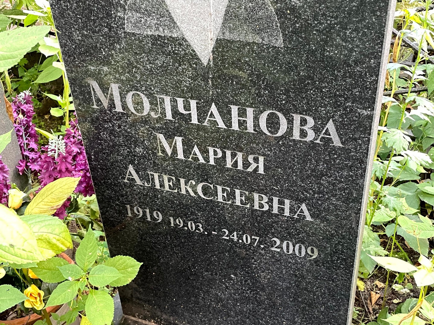 Молчанова