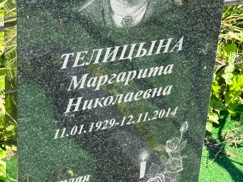 Теплицына