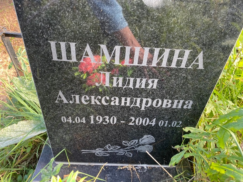 Шамшина