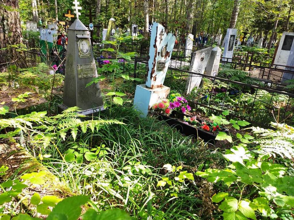 Хайдукова Ксения Денисовна