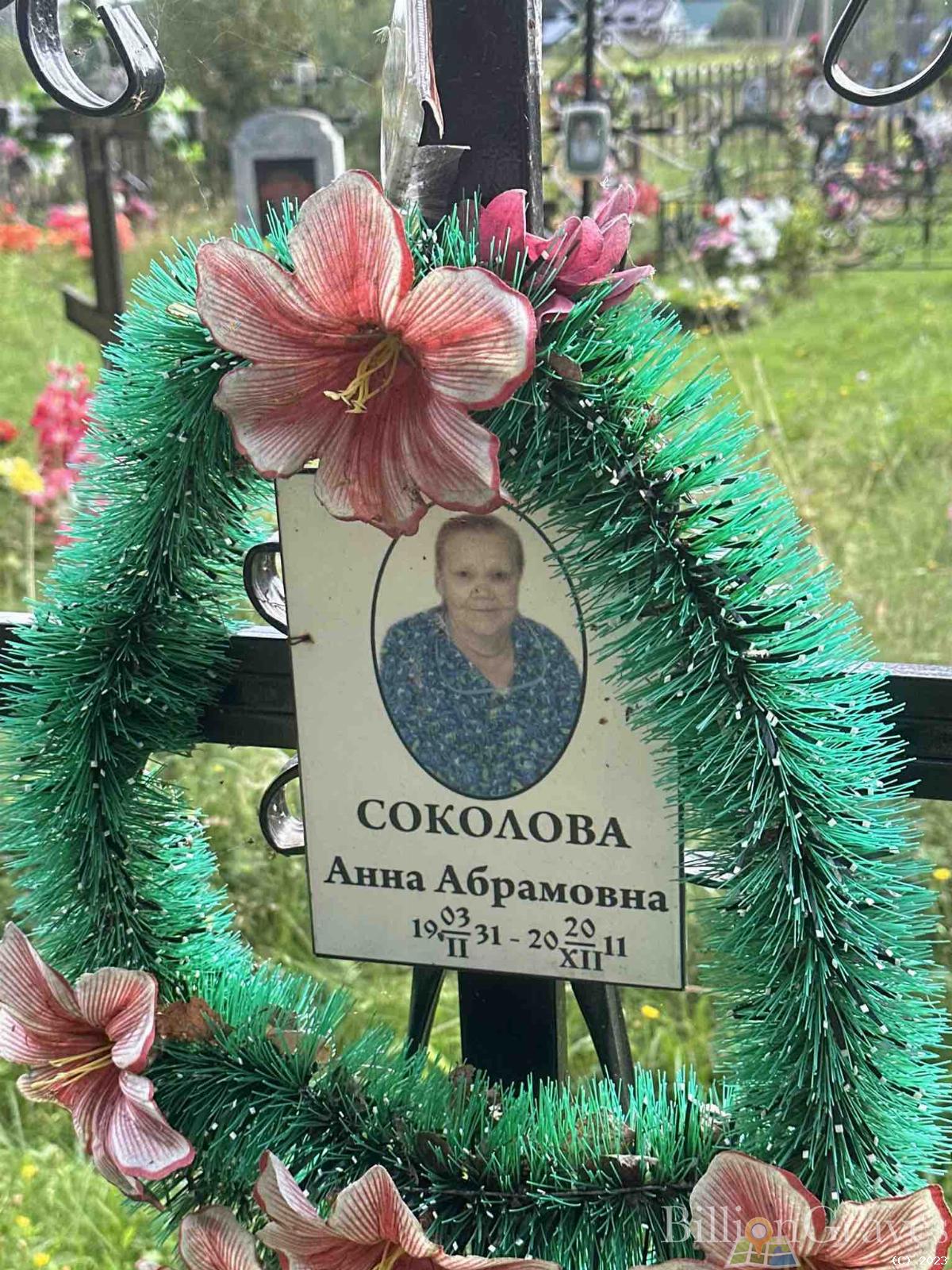 Соколова Анна Абрамовна