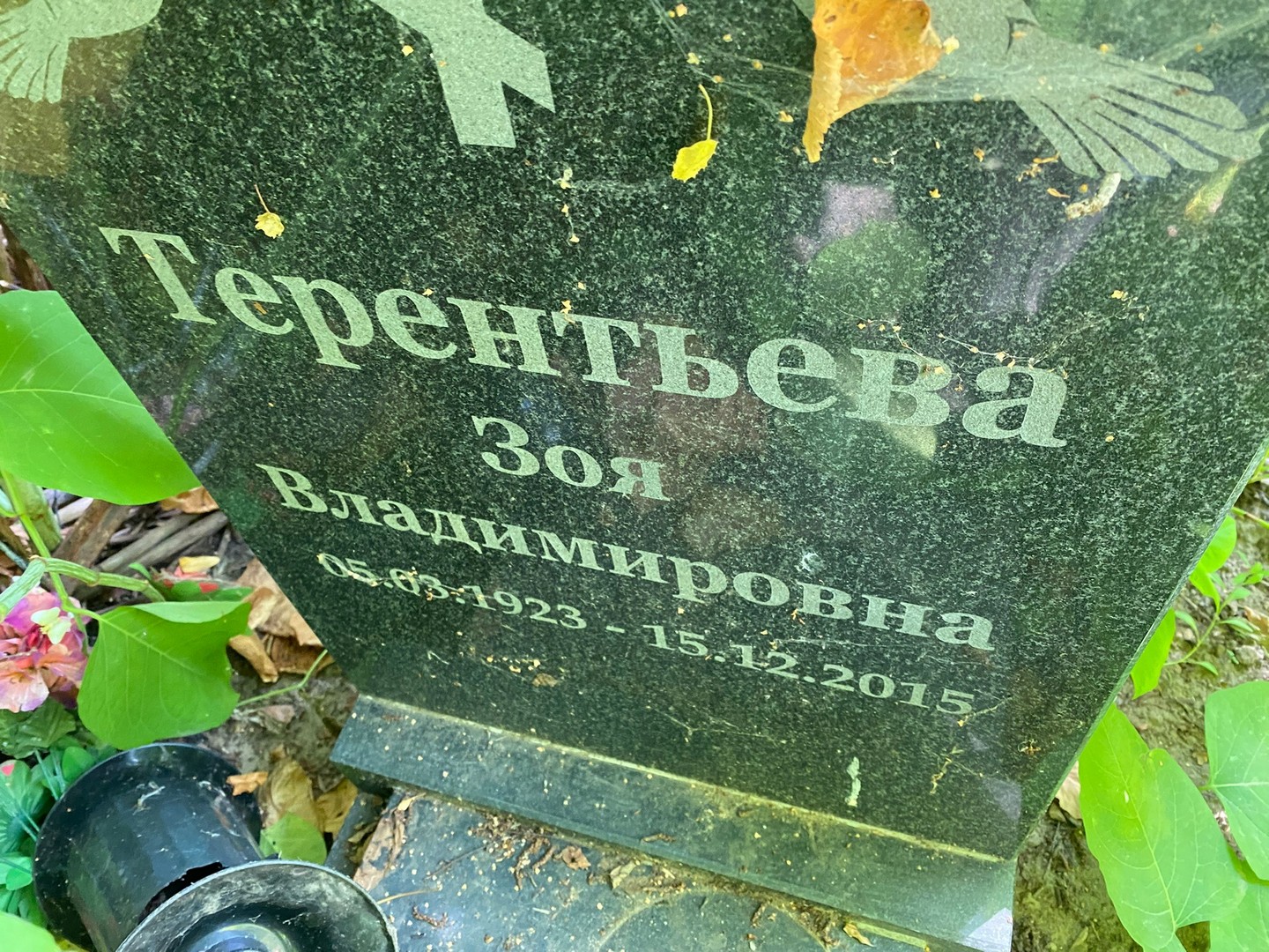 Терентьева