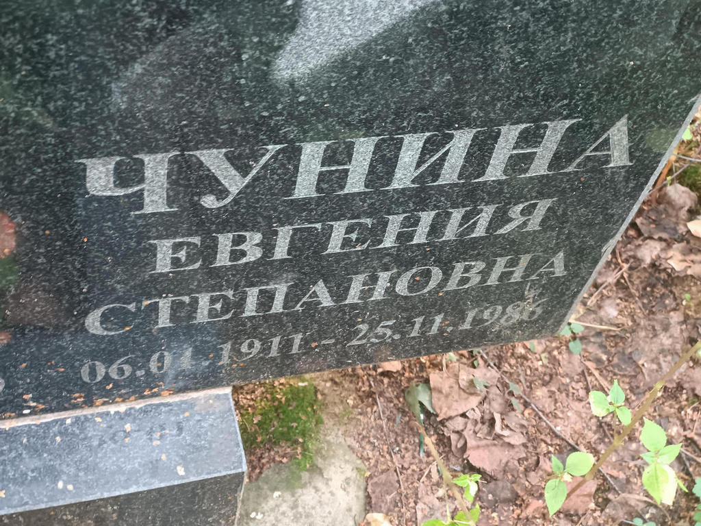 Чунина Евгения Степановна