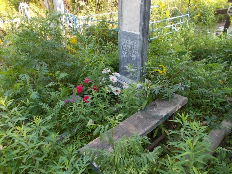 Соколов Александр Николаевич