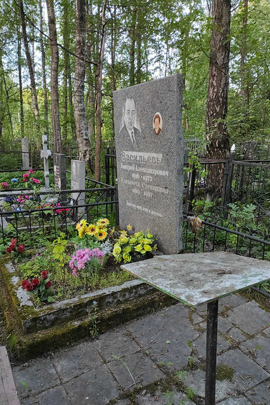 Васильев Дмитрий Александрович