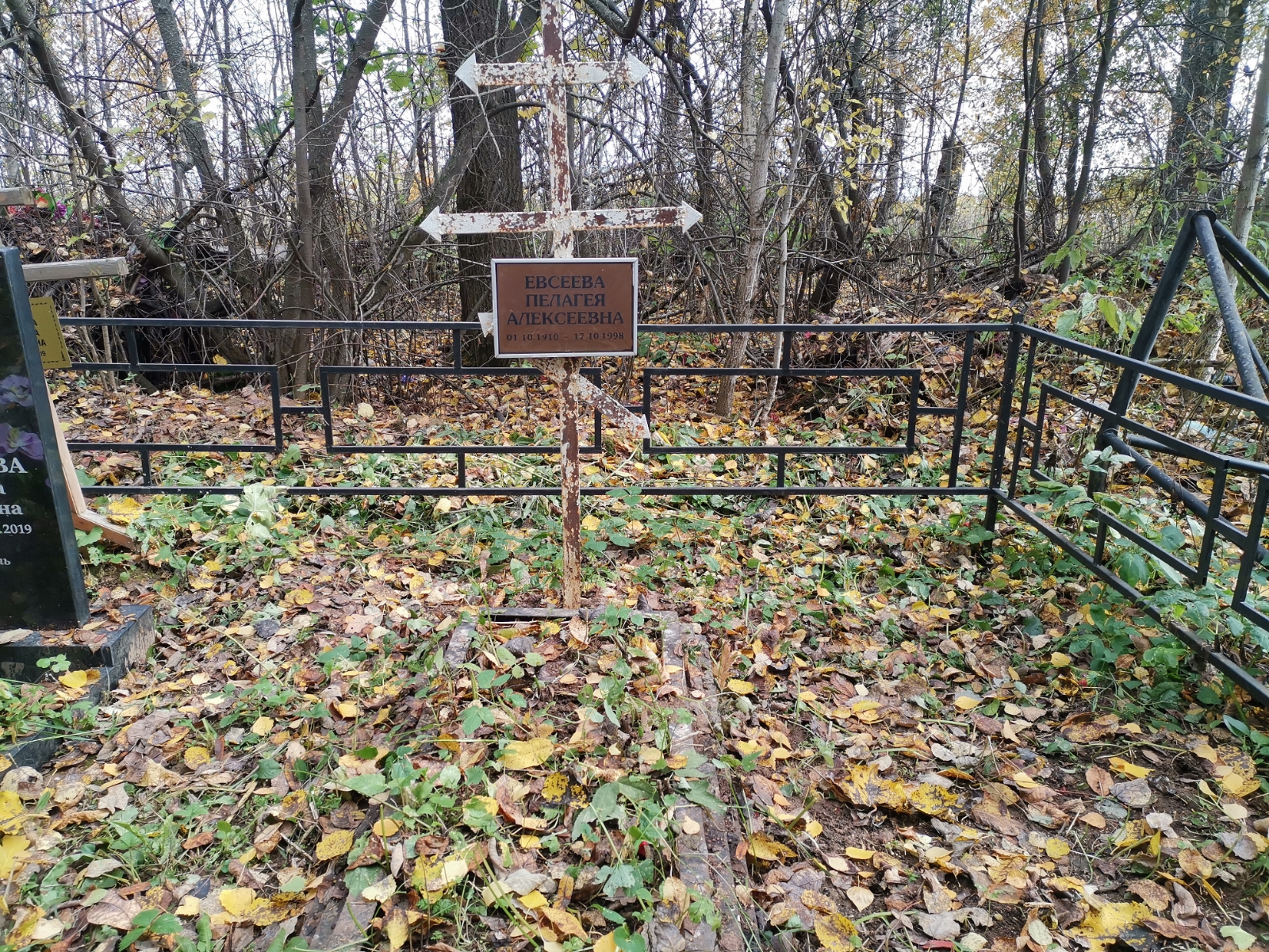 Евсеева Пелагея Алексеевна