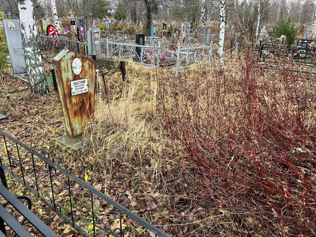 Быстров Анатолий Петрович