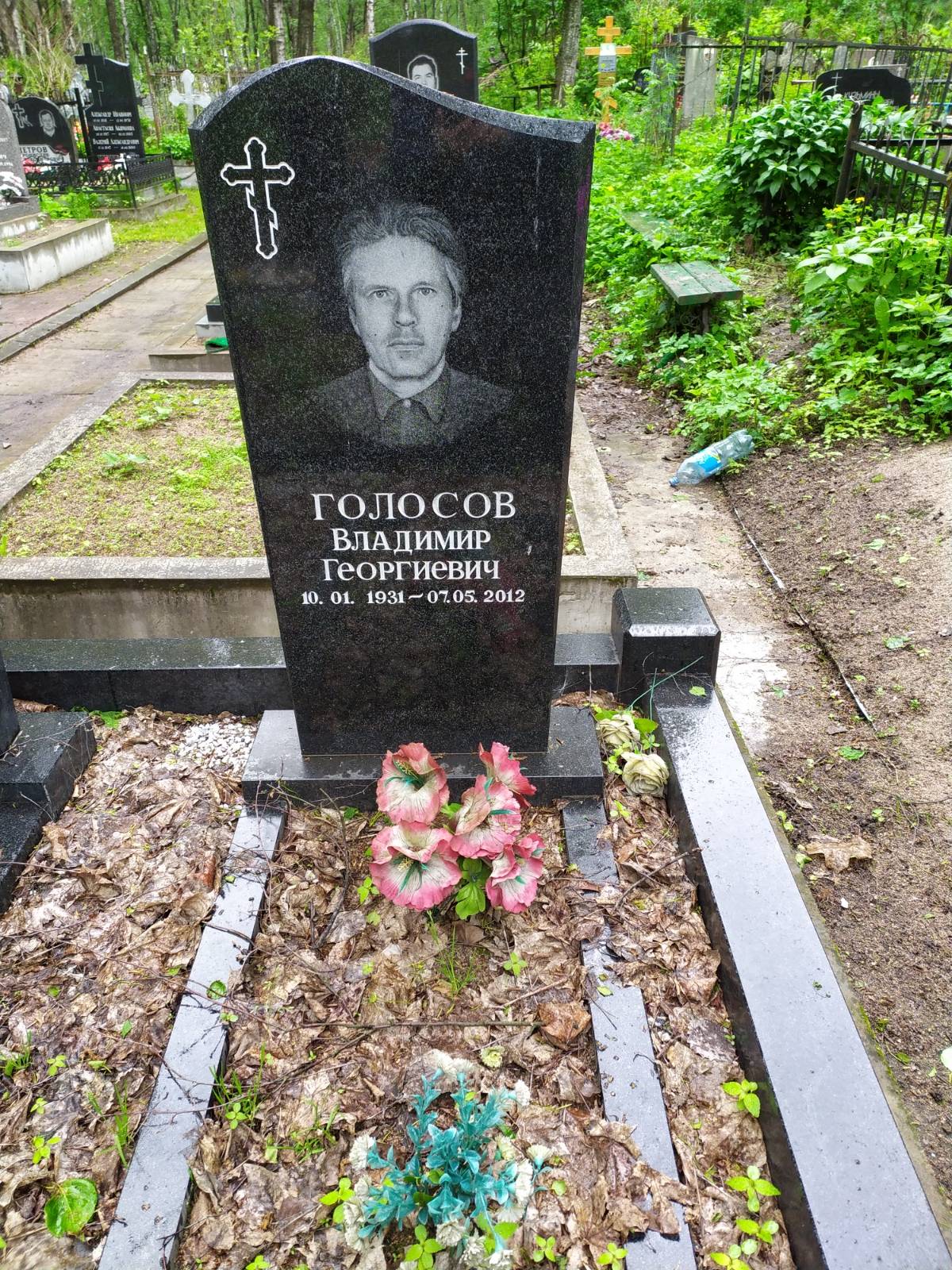 Голосов Владимир Георгиевич