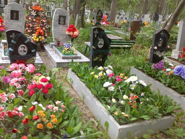Храмцов Сергей Александрович
