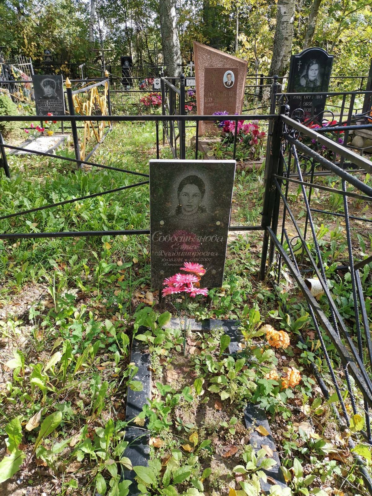 Совостьянова Елена Владимировна