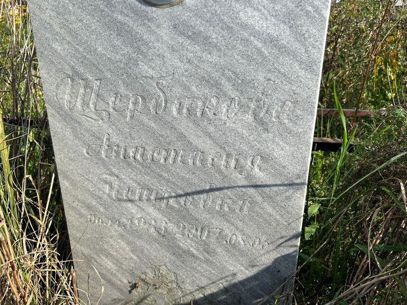 Щербакова Анастасия Петровна