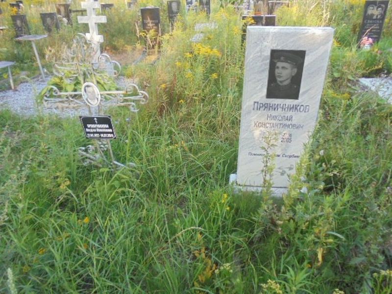 Пряничников Николай Константинович