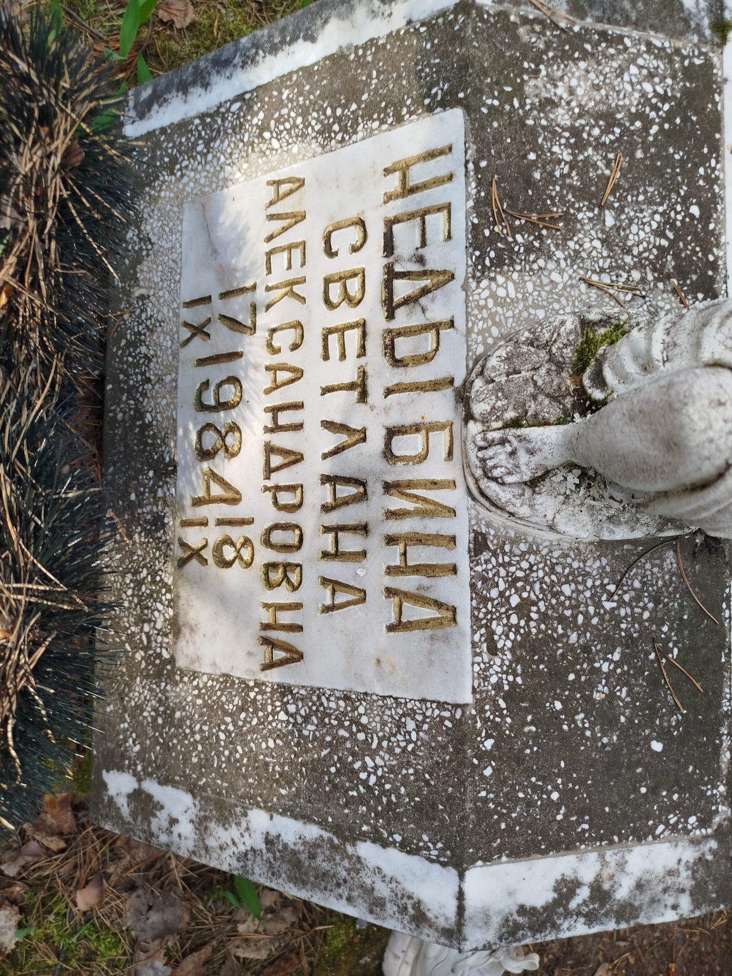 Недыбина Светлана Александровна