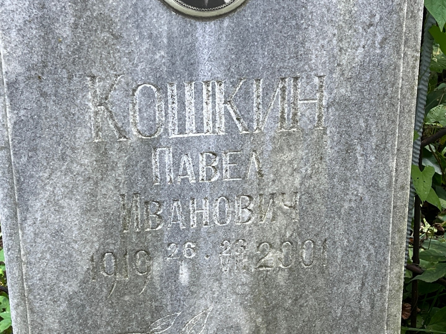 Кошкин