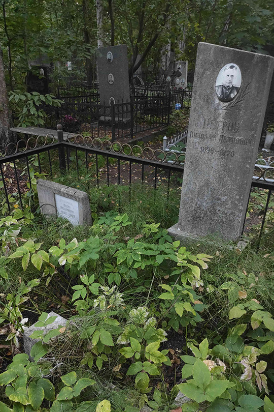 Петров Николай Петрович