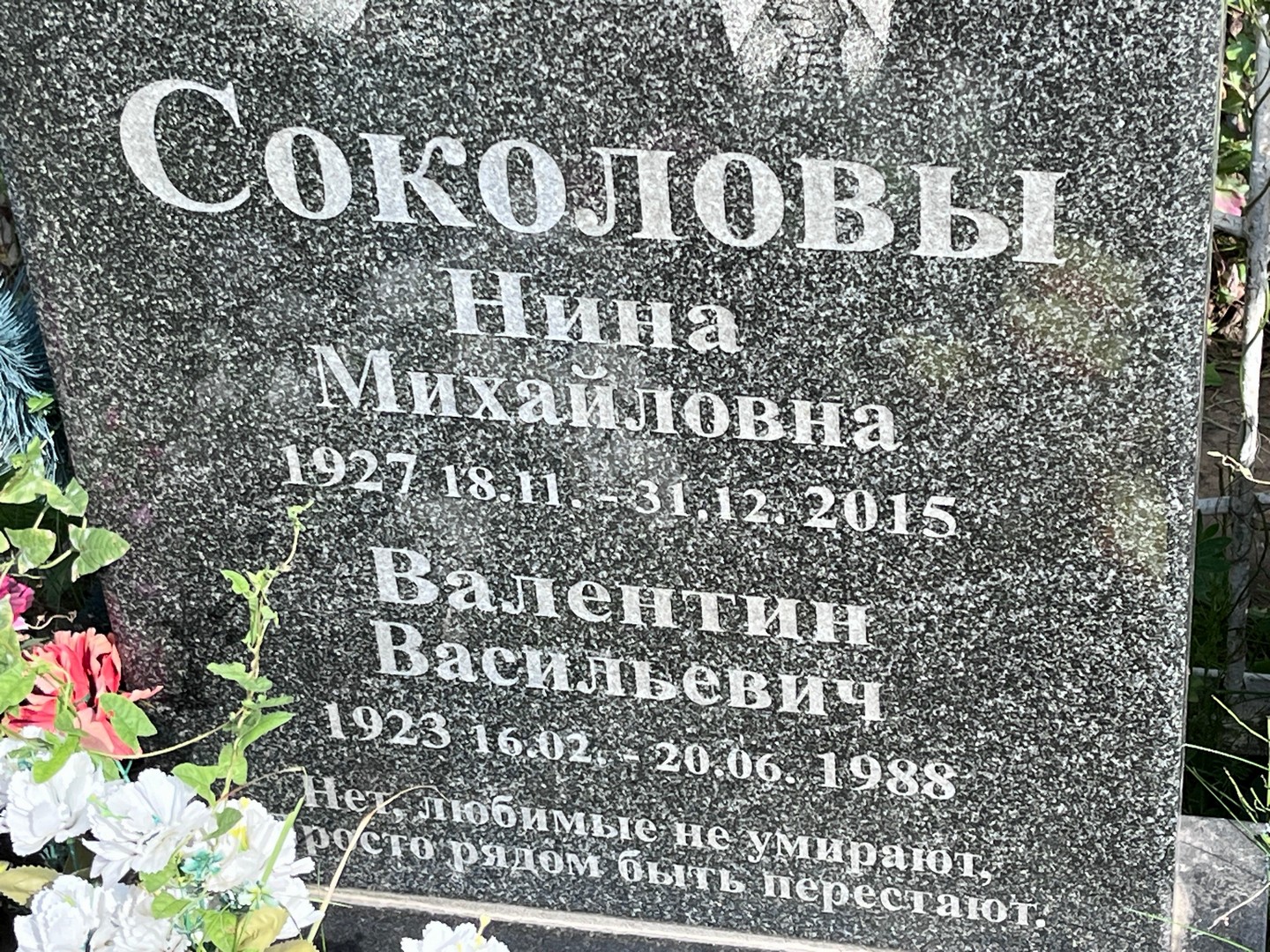 Соколова