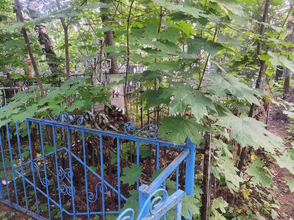 Модина Анна Васильевна