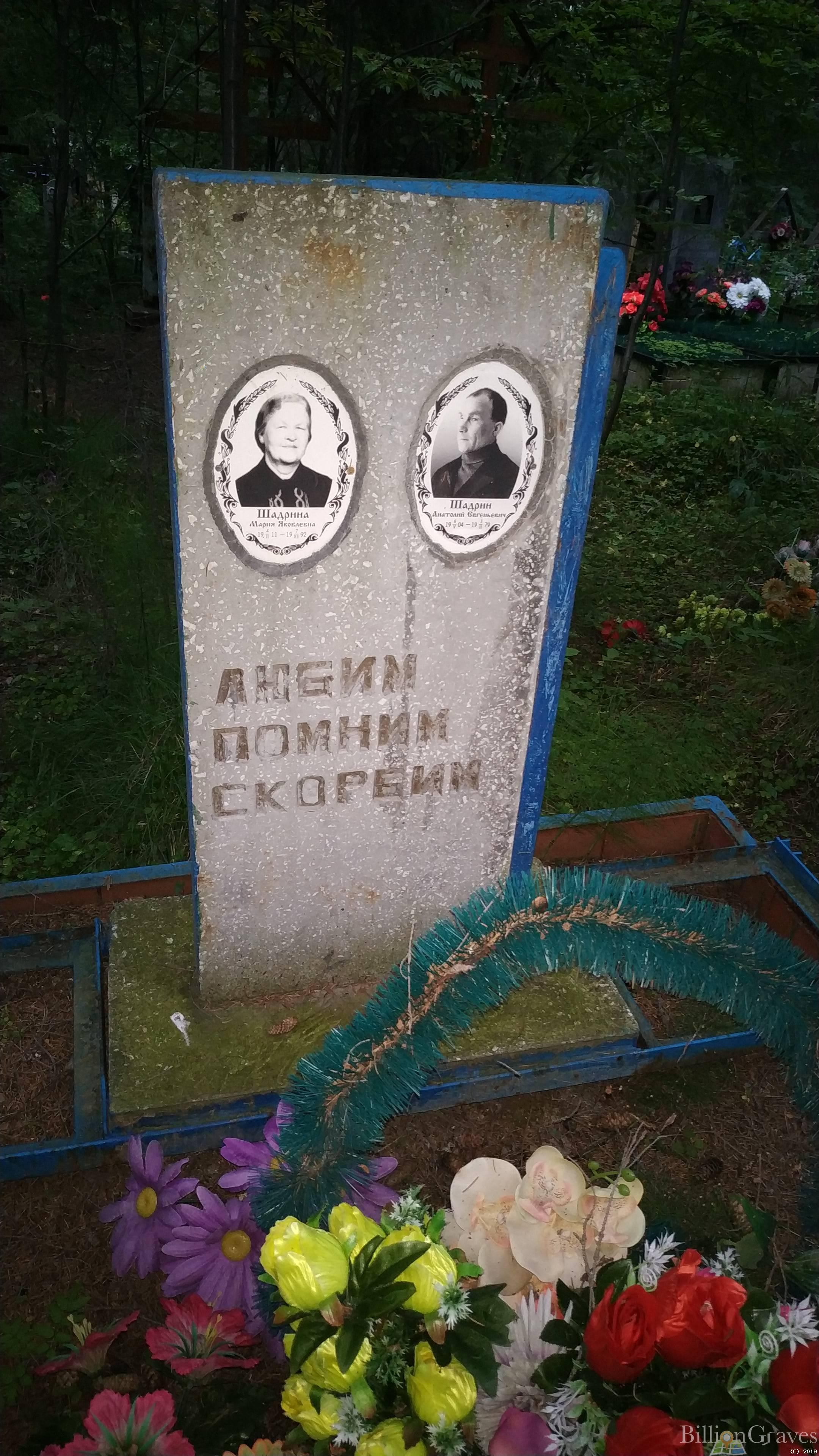 Шадрин Анатолий Евгеньевич