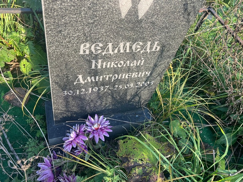 Ведмедь