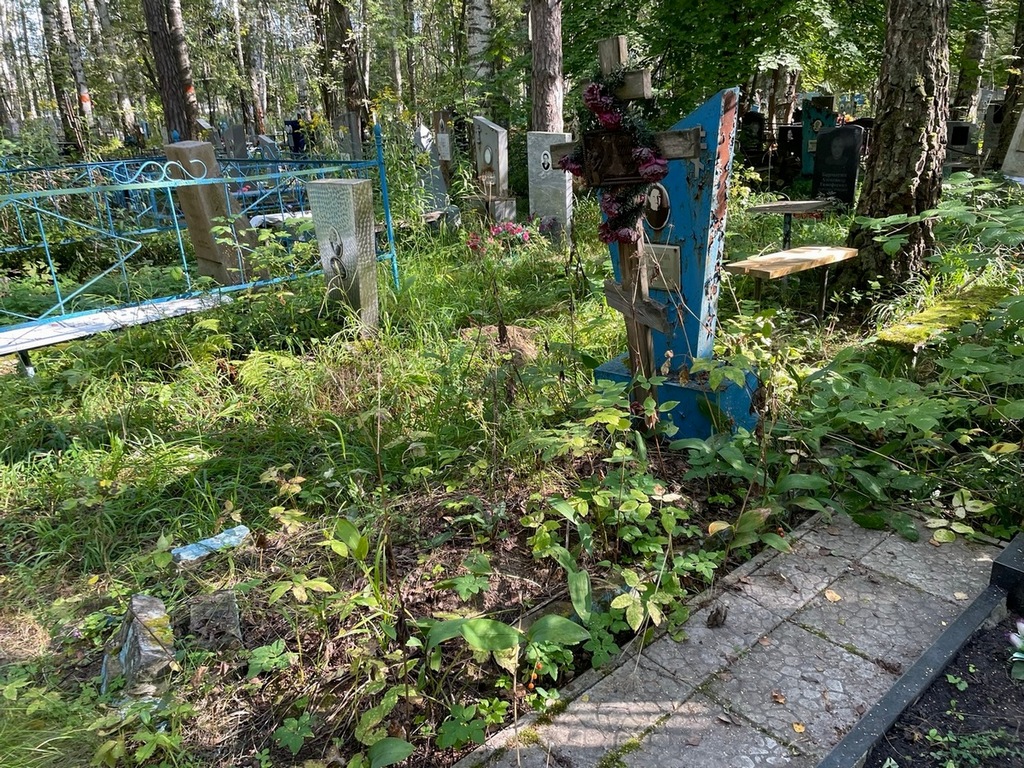 Пасечник Альбина Михайловна