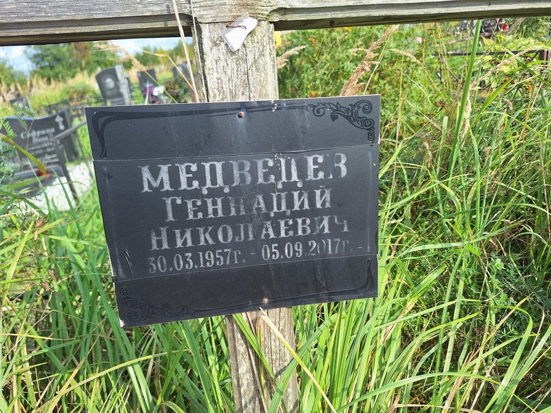 Медведев
