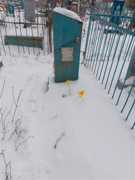 Седова Евгения Васильевна