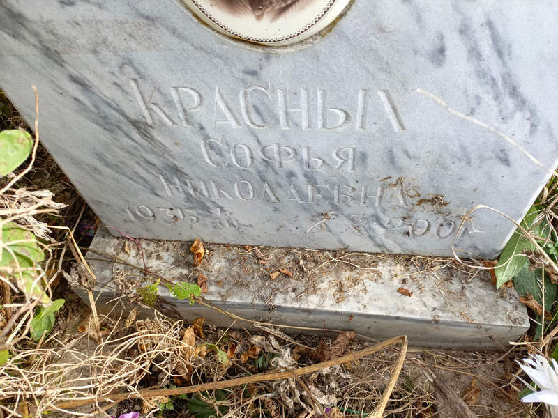 Софья Красных Николаевна