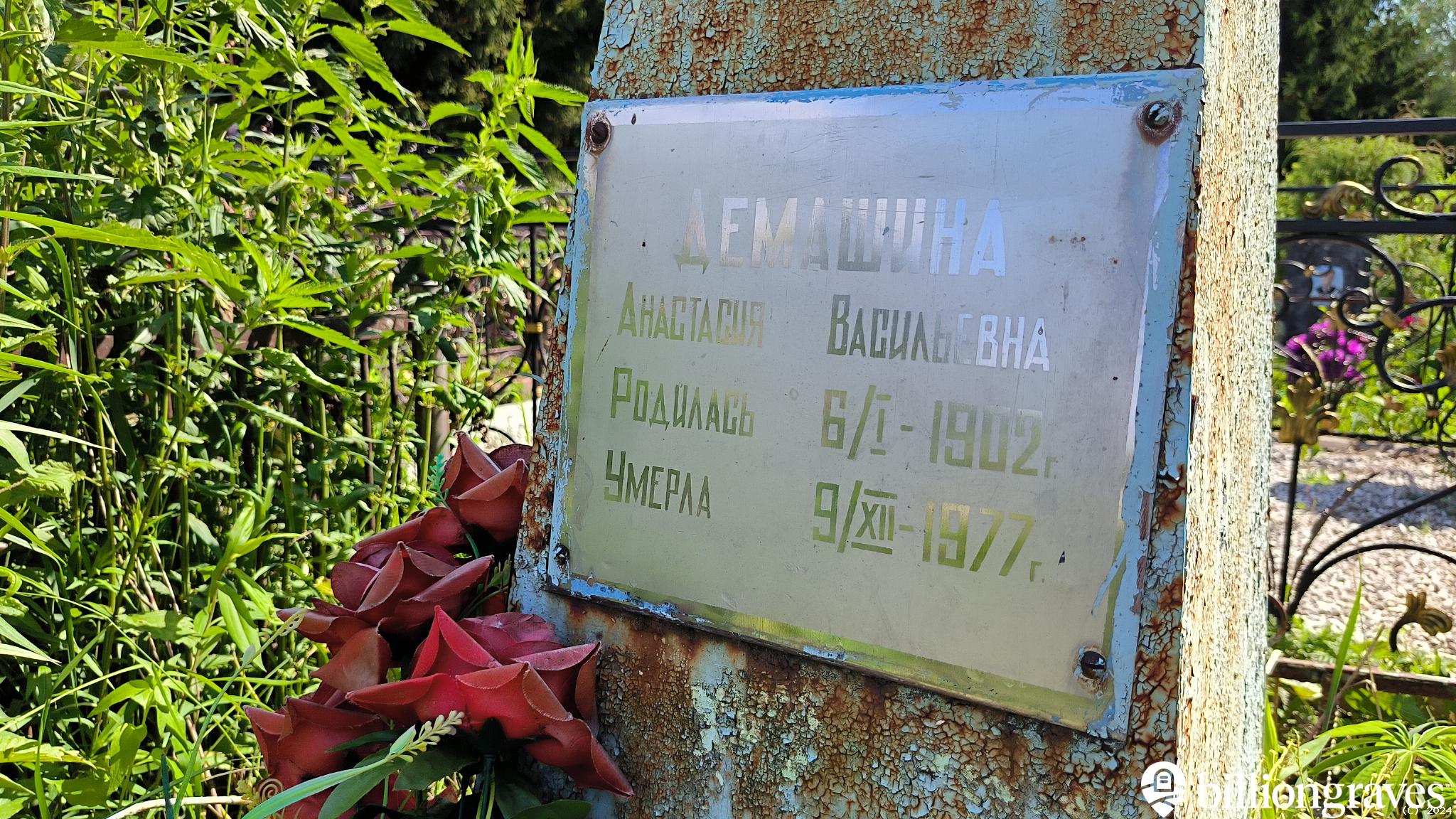 Демашина Анастасия Васильевна
