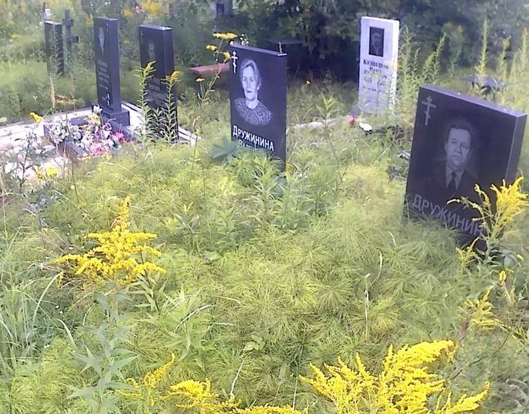 Дружинин Павел Константинович
