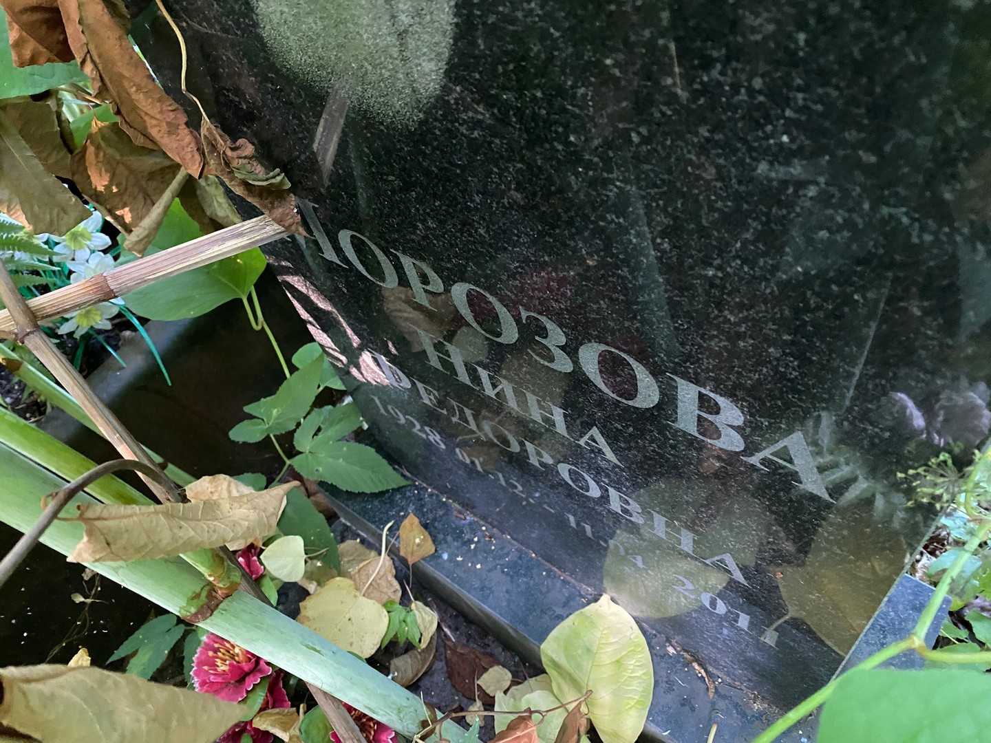 Морозова