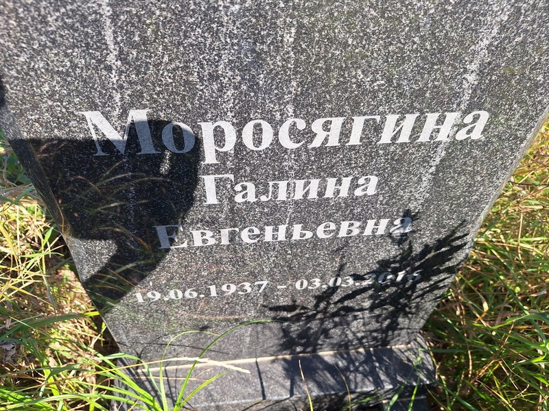 Моросягина