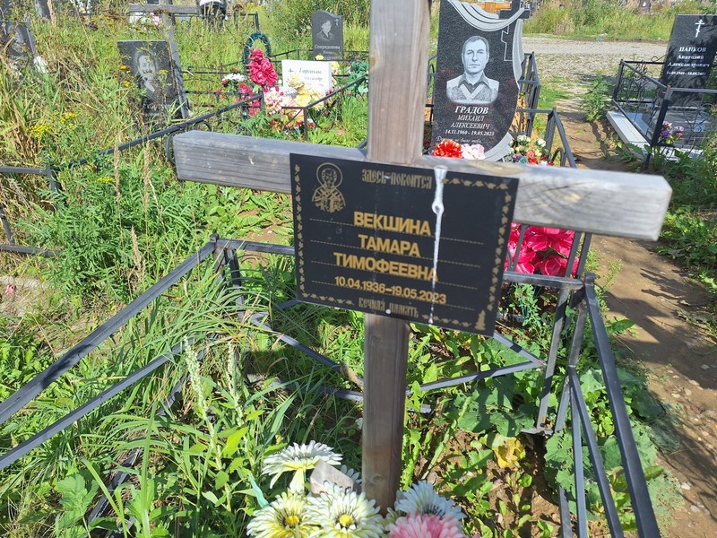 Векшина
