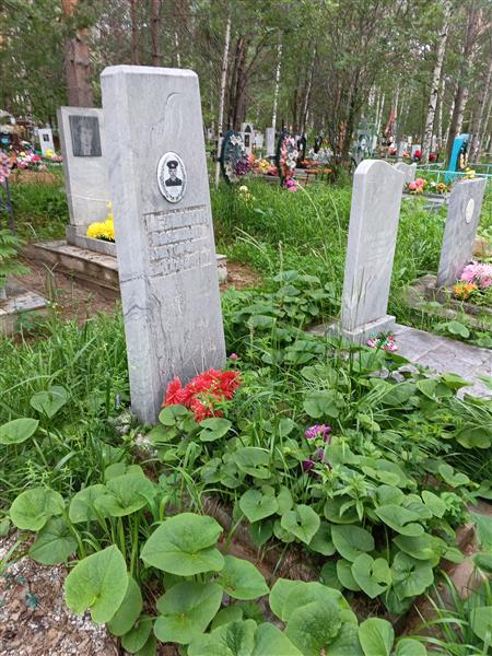 Неуймин Виктор Львович