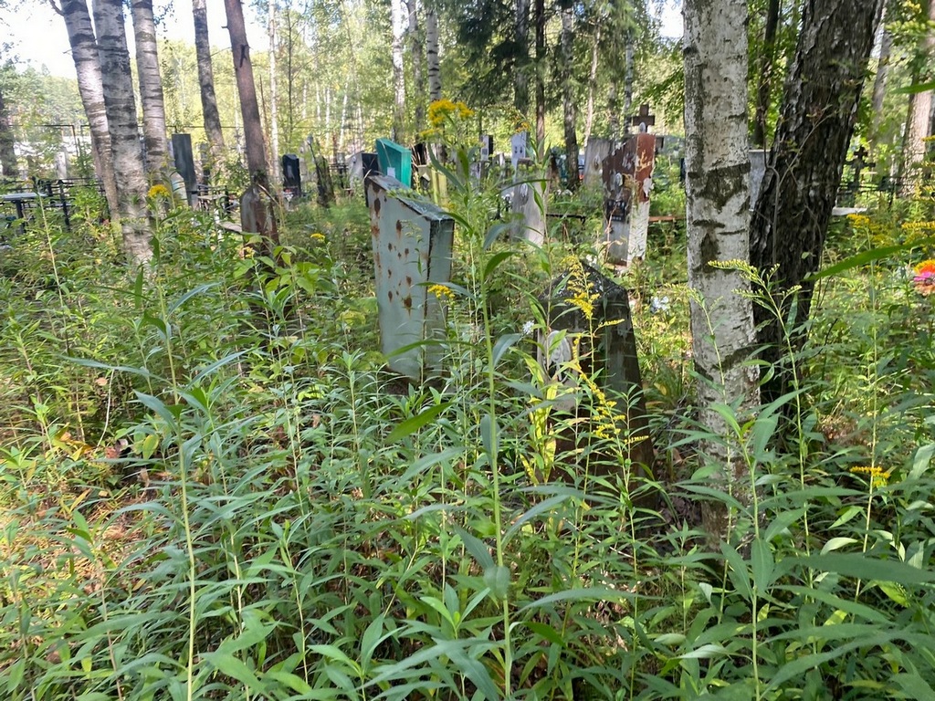 Тумакова Александра Ивановна