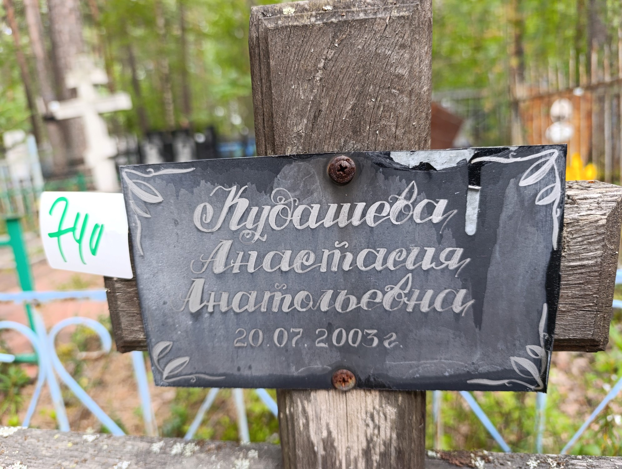 Кудашева Анастасия Анатольевна