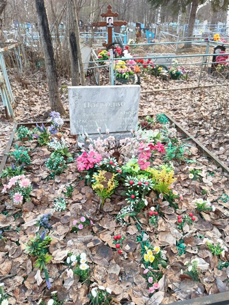 Погродко Любовь Александровна