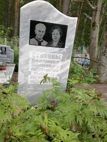 Стихин Владимир Иванович