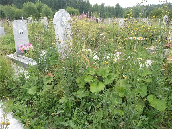 Зимина Лидия Петровна