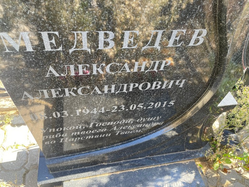 Медведев