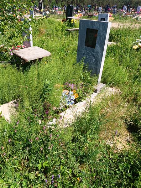 Дегтярев Василий Николаевич