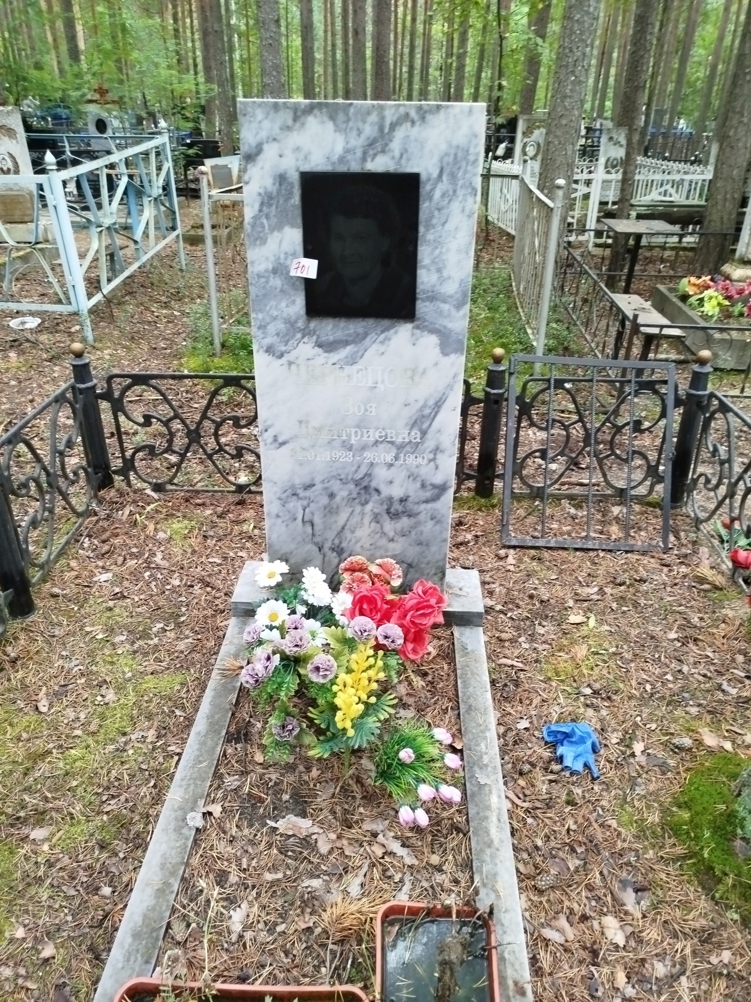 Чернецова Зоя Дмитриевна
